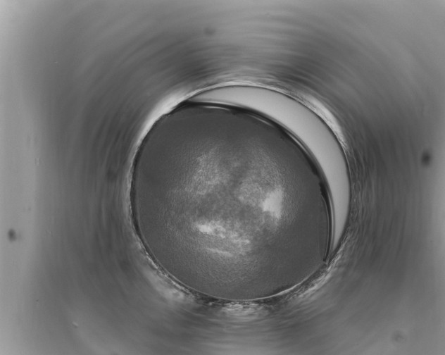 X0000095551146200712211404