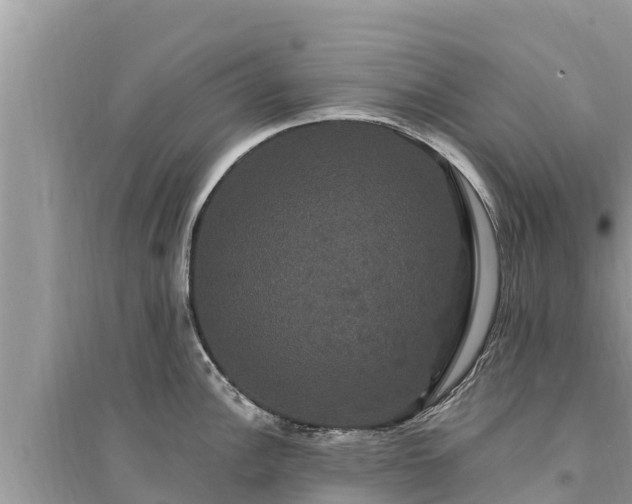 X0000095551148200712211404