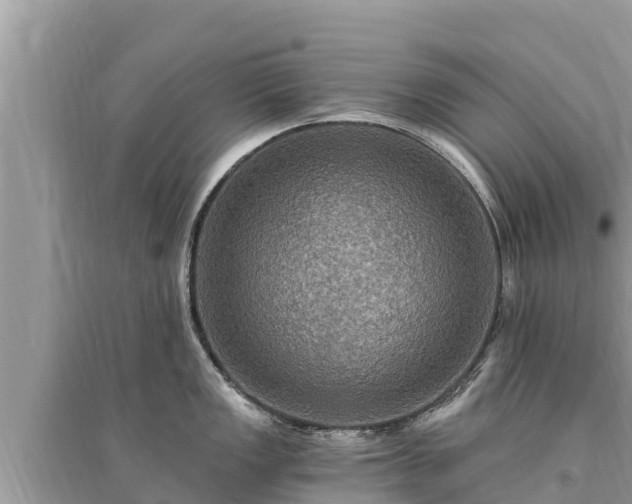 X0000095551149200712211404