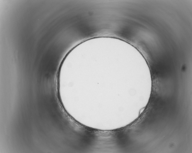 X0000095551150200712211404