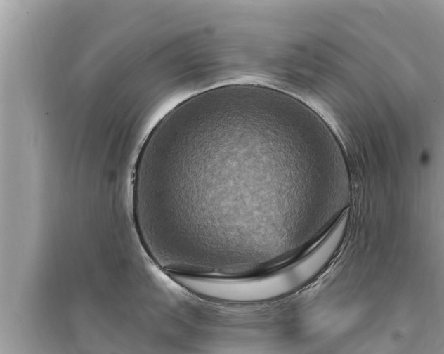 X0000095551151200712211404