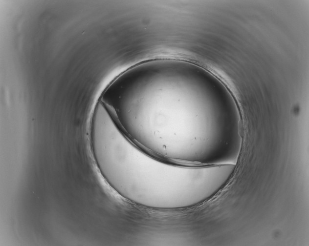 X0000095551152200712211404