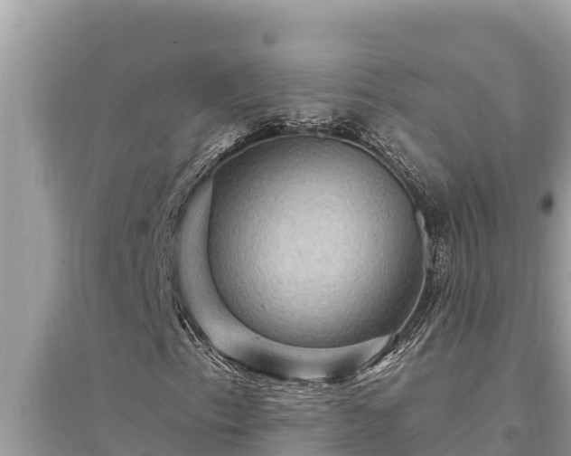 X0000095551153200712211403