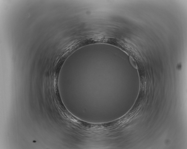 X0000095551154200712211403