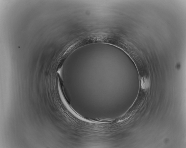 X0000095551155200712211403