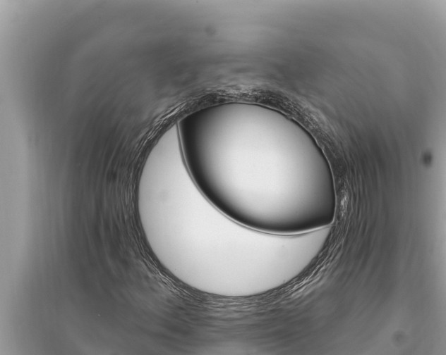 X0000095551156200712211403