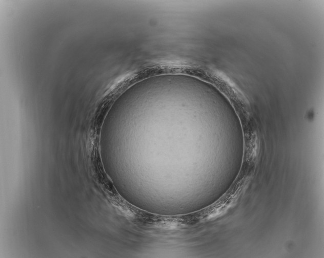 X0000095551157200712211403