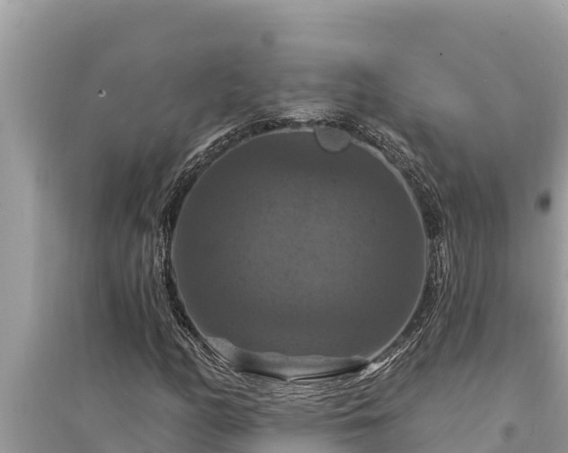 X0000095551158200712211403