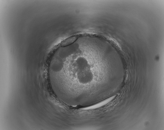 X0000095551159200712211403