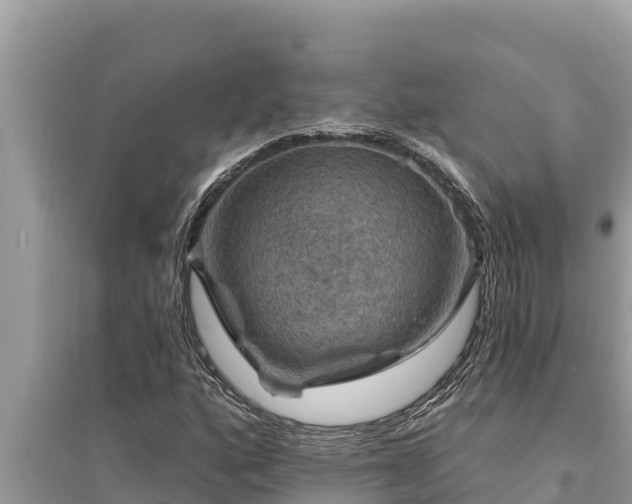 X0000095551160200712211403