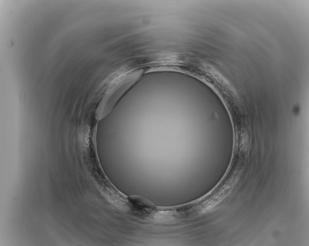 X0000095551161200712211403