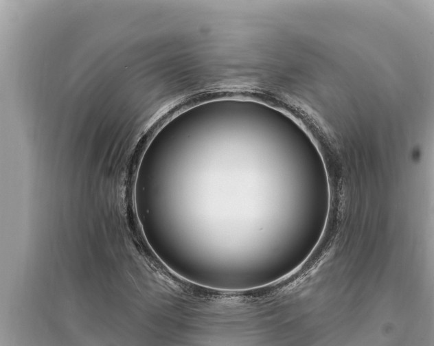 X0000095551162200712211403