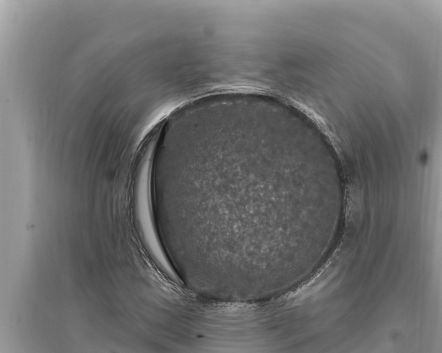 X0000095551163200712211403