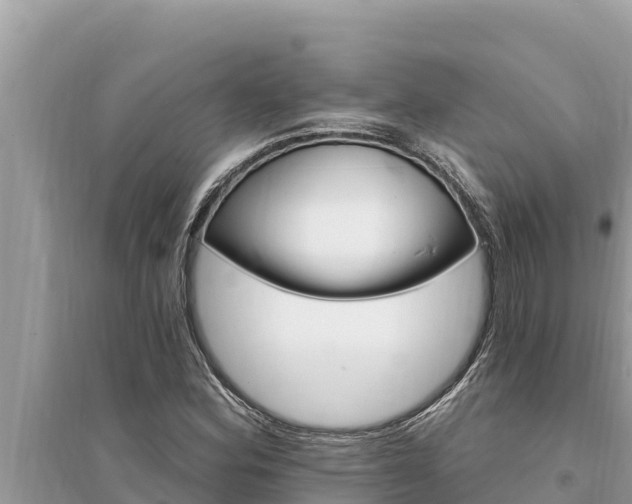 X0000095551164200712211403