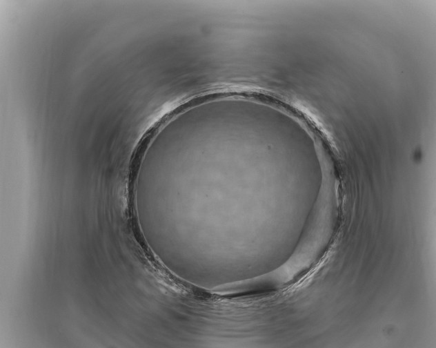 X0000095551165200712211403