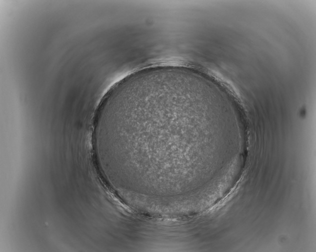 X0000095551166200712211403