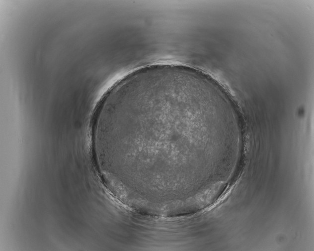 X0000095551167200712211403