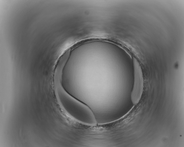 X0000095551168200712211403