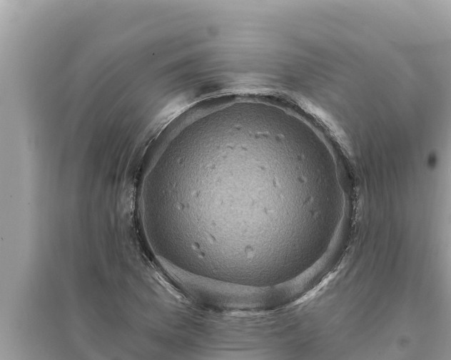 X0000095551169200712211403