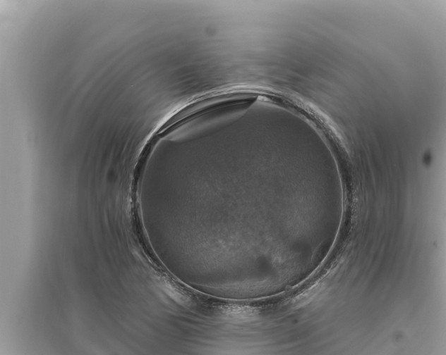 X0000095551170200712211403