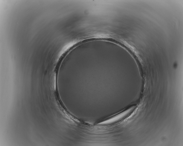 X0000095551171200712211403