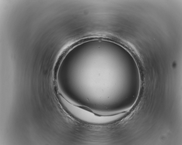 X0000095551172200712211403