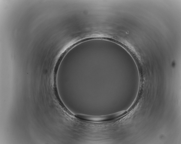 X0000095551173200712211403