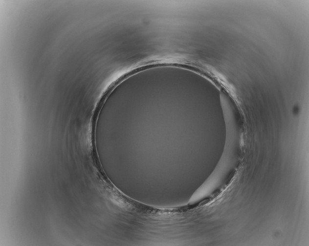 X0000095551174200712211403