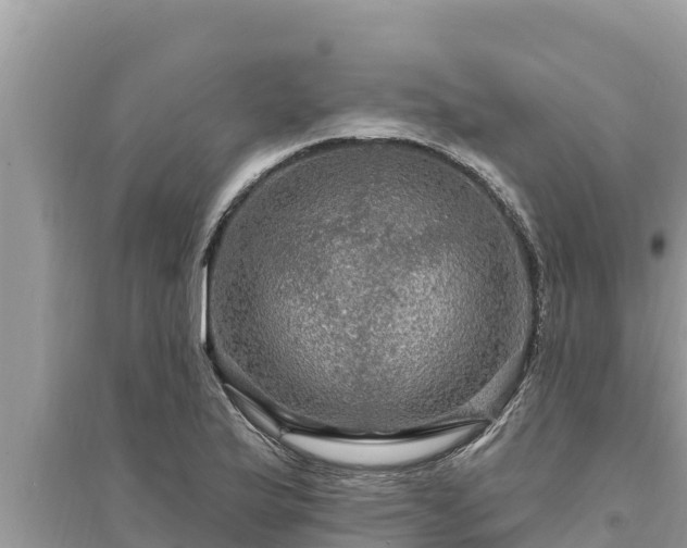 X0000095551175200712211403