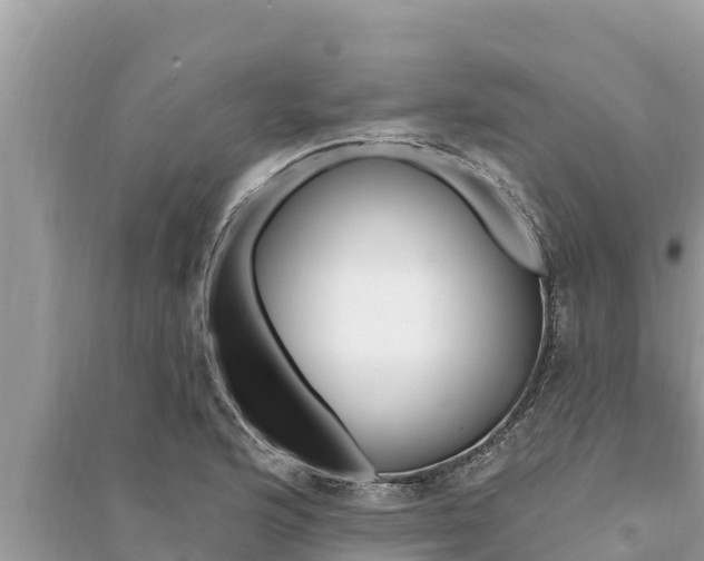 X0000095551176200712211403