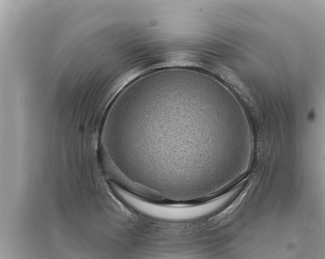 X0000095551177200712211403