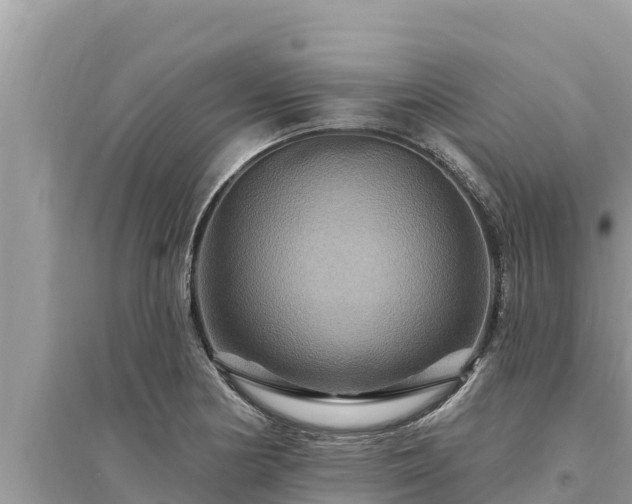 X0000095551178200712211403