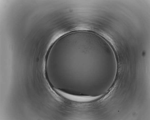 X0000095551179200712211403