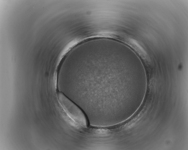 X0000095551180200712211403