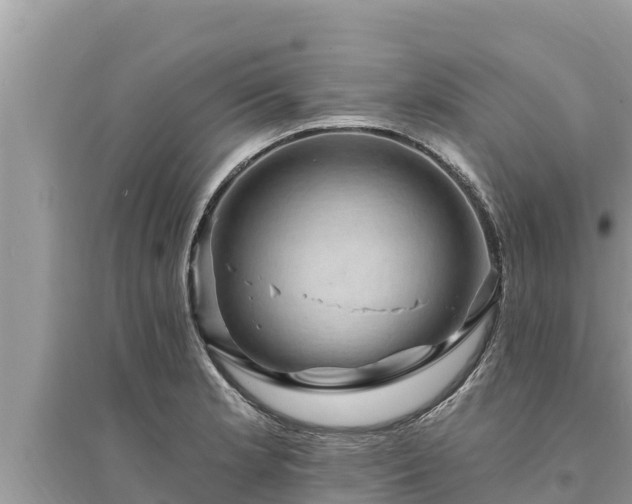 X0000095551181200712211403