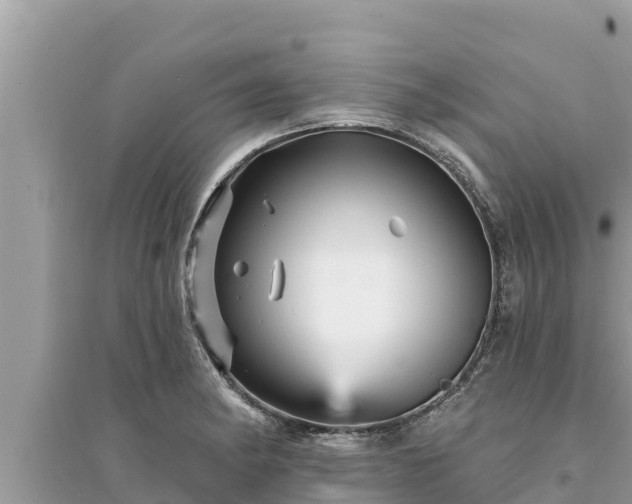 X0000095551182200712211403