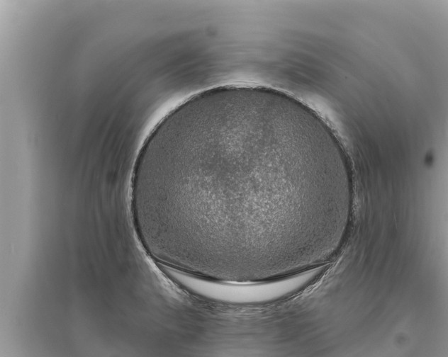 X0000095551183200712211403