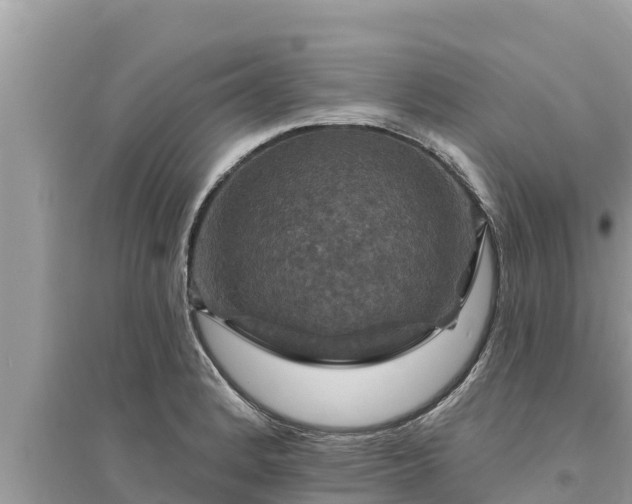 X0000095551184200712211403