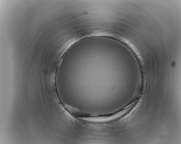 X0000095551185200712211403