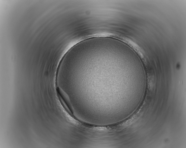 X0000095551186200712211403