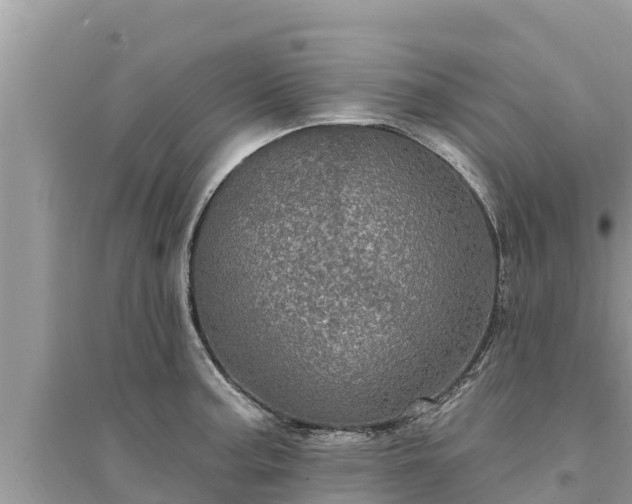 X0000095551187200712211403