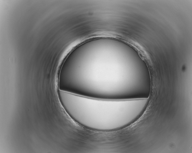 X0000095551188200712211403