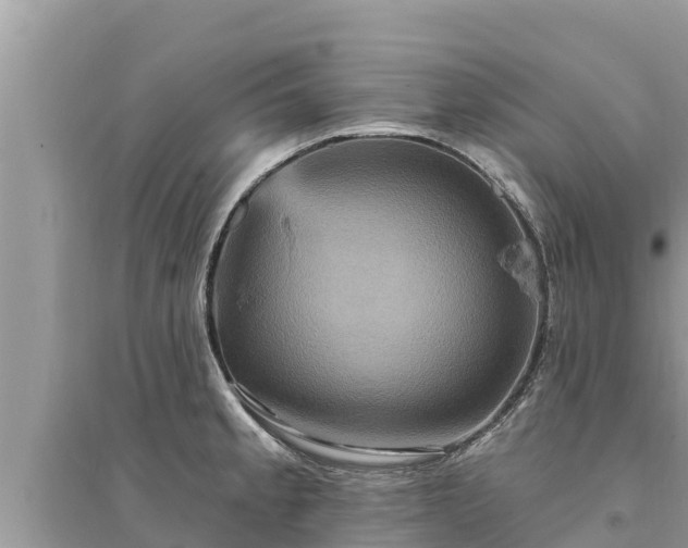 X0000095551189200712211403