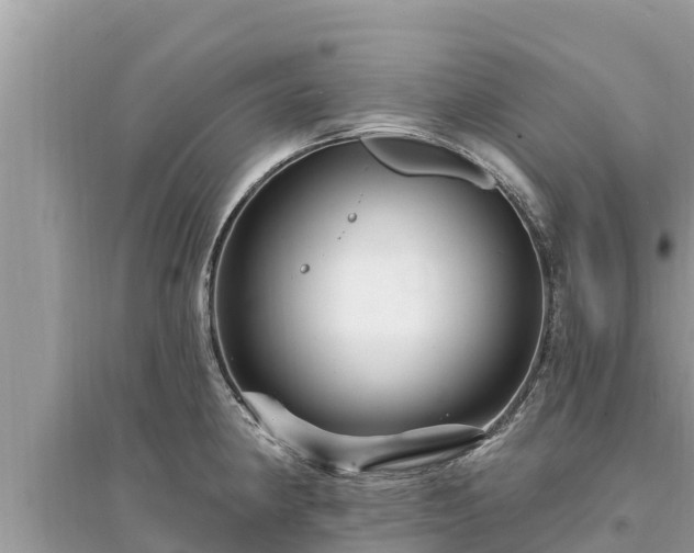 X0000095551190200712211403