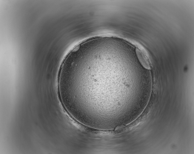 X0000095551191200712211403