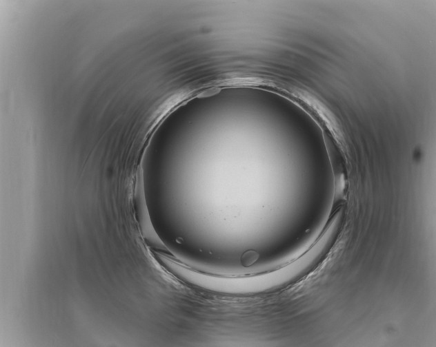 X0000095551193200712211403