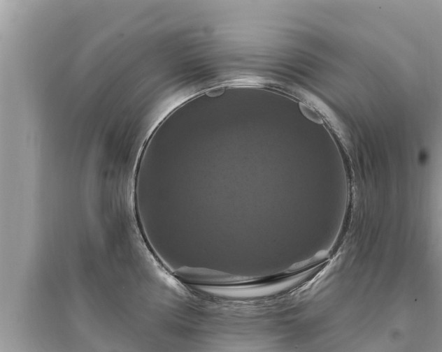 X0000095551194200712211403