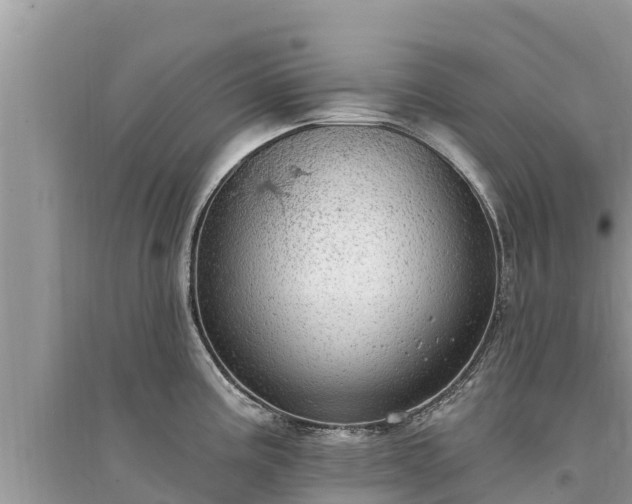 X0000095551195200712211403