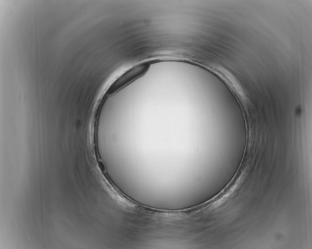 X0000095551196200712211403