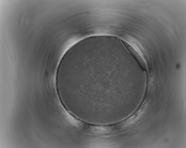 X0000095551197200712211403